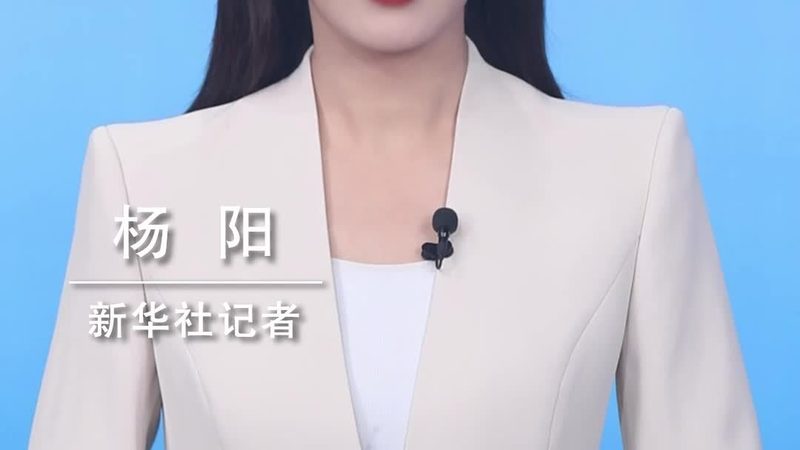广州数据湖企业应用公司：构建智慧数据生态的关键**